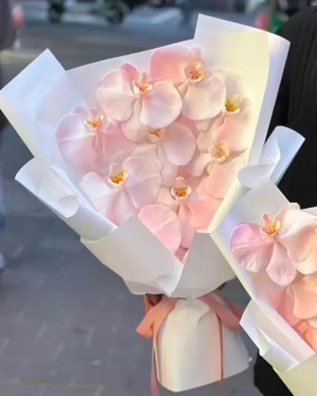 Two Blush Orchid Bouquets of pink phalaenopsis in white wrap